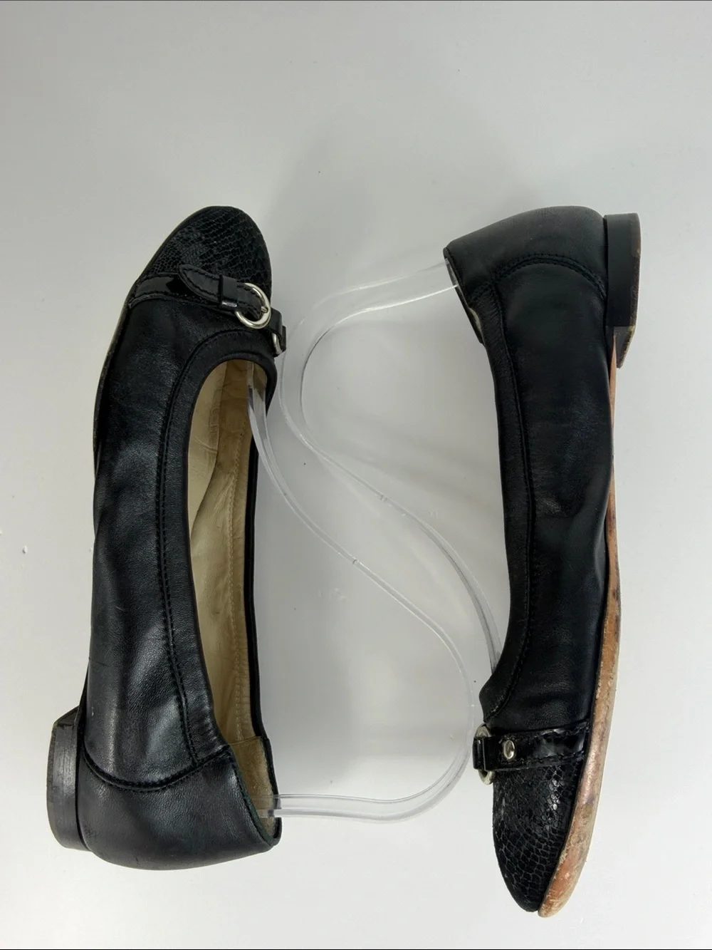 Agl elegant attilio